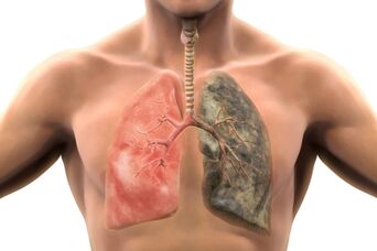 More than 200 harmful compounds poison the body with each inhalation. 